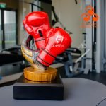 Boxing Glove Award