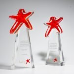 Lundbeck Annual Award Trophy