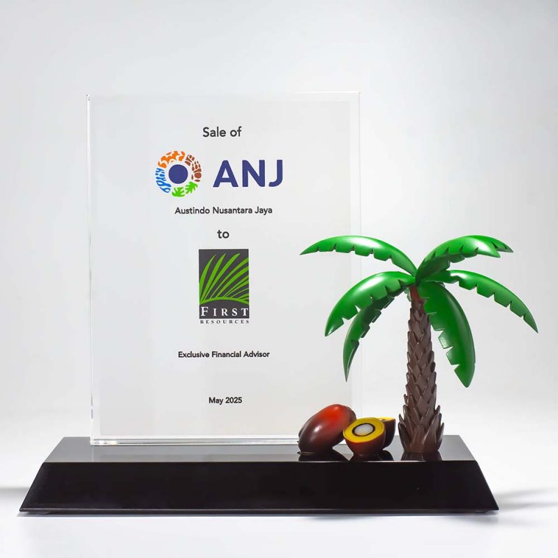 Palm Oil Tree Deal Toy