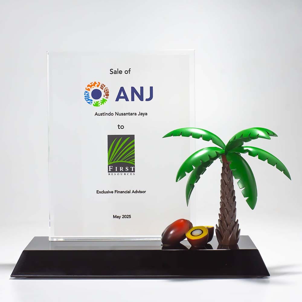 Palm Oil Tree Deal Toy