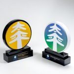 The China Taiping Award