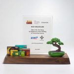Bonsai Theme Deal Toy