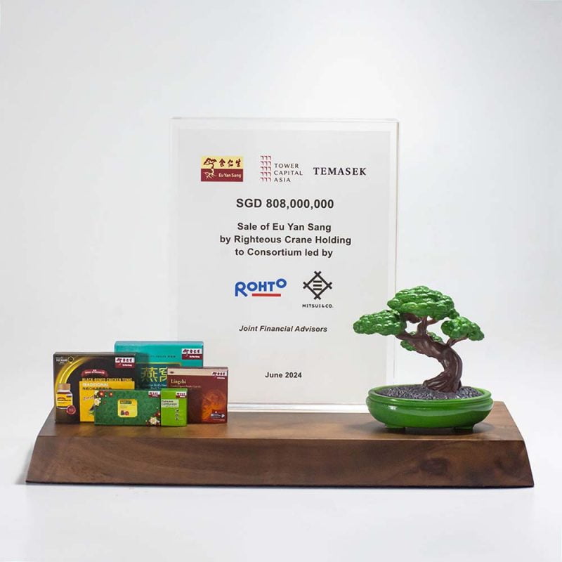 Bonsai Theme Deal Toy