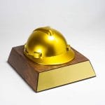 Safety Helmet Award